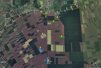 45 ha Sanpetru German - teren arabil de cea mai buna calitate - - 5