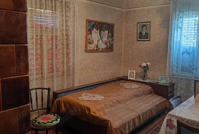 Casă cu 6 camere cu Teren 3277 Mp în Cenad - 3