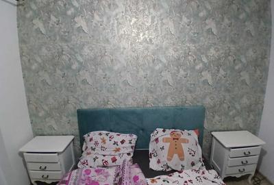 Apartament cu 3 camere decomandat în Valea Ialomiței - 1