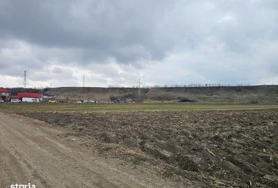 Teren de 5957 mp, în Central - 7