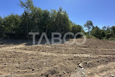 Teren extravilan cu utilitati 1800 mp langa Rau pe Valea Sebesului - 3