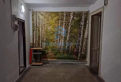 Apartament cu 2 camere, mobilat în Cișmigiu - 3