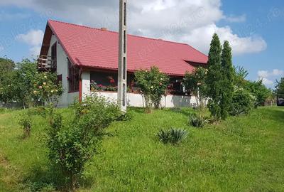 Casa cu teren 5000 m2 domeniu ranch - 2