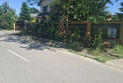 Spațiu comercial, în Cornetu