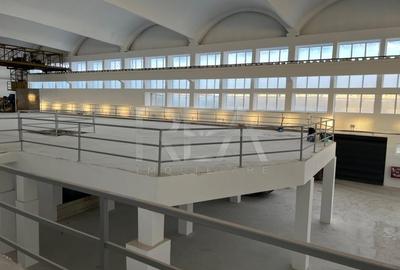Hala renovata zona industriala Jilava - 5