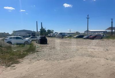 Teren de 5000 mp, în Ișalnița - 6