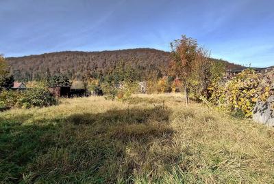 Teren Construcții intravilan de 660 mp, în Bunloc - 10