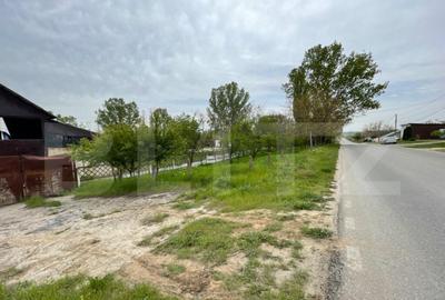 Oportunitate! Teren intravilan 3 hectare, Bals - 7