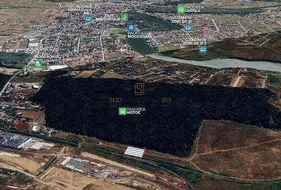 Teren de vânzare 10.028 mp - Mogoșoaia, lângă Pădurea Motoc - 1