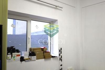 Zona Herastrau, imobil cu 9 camere de vanzare, 332 mp construiti - 6