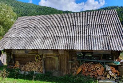 Teren de 3015 mp, în Arieșeni - 8