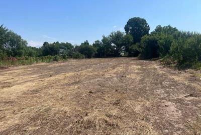 Spațiu comercial, în Ciolpani - 3