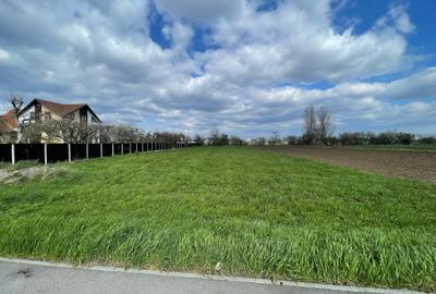 Teren Stupini 1643mp - 2