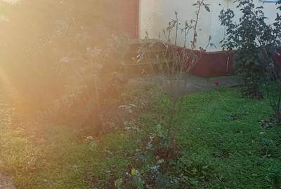 Casă cu 6 camere cu Teren 2200 Mp în Jilavele - 3