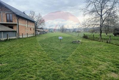 Teren de 1745 mp, în Crăciunești - 3