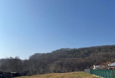 Casă în Budeasa - 4