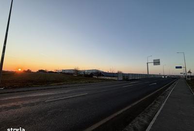 Teren de 5000 mp, în Brănești - 1