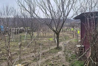 Casă cu 2 camere în Bogei - 8