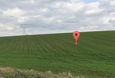 Teren de 10000 mp, în Pielești - 1