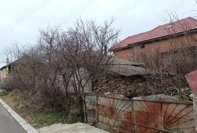 Casa batraneasca Casa batraneasca - 3