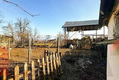Casă cu 3 camere cu Teren 700 Mp în Central - 10