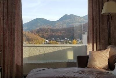 PentHouse  top 5  in Brasov - 14