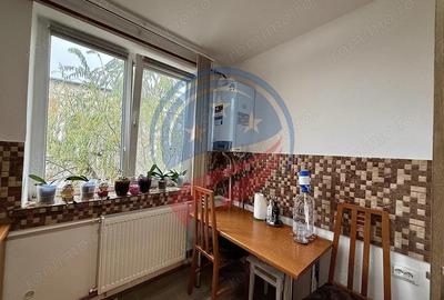 Apartament 2 camere/de vanzare/Calea Severinului - 10