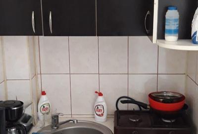 Garsonieră în Take Ionescu - 3