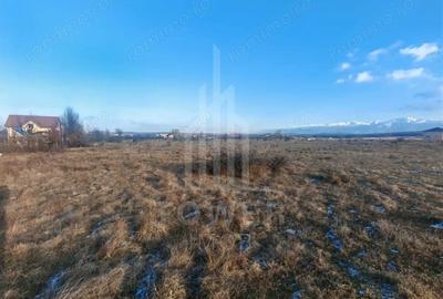 Teren de vanzare Zona Arhitec?ilor, vis-a-vis de bazinul de apa - 6