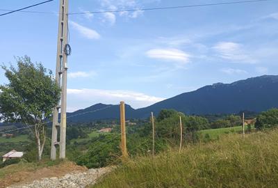 Spațiu comercial, în Bran - 6