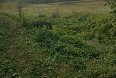 Spațiu comercial, în Liliești - 2