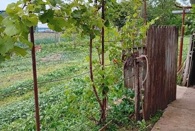 Casă cu 4 camere în Micșuneștii Mari - 7