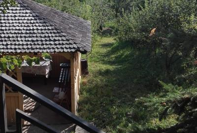 Breaza Judet Prahova casa de exceptie - OFERTA - 7