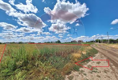 Teren Focsanei / DN sat Focsanei Vadu Pasii - 1