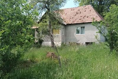 Casă cu 2 camere în Glăjărie - 9