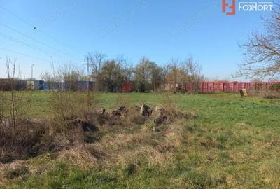 Teren de 8341 mp, în Plopi - 2