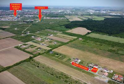 Teren Construcții intravilan de 741 mp, în Moșnița Veche - 4