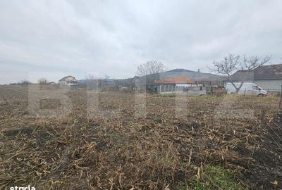 Teren de 9000 mp, în Central - 2