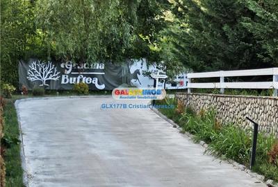 Teren Construcții intravilan de 843 mp, în Exterior Nord - 7