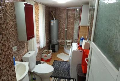 Casă cu Teren 1439 Mp în Anina - 7