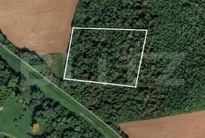 Teren de 10000 mp, în Central