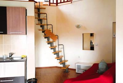 Apartament 2 camere zona Siretului - 3