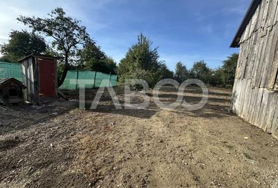 Casa de vanzare 2 camere 75mpu teren liber 982 mp anexe Sat Vad - 10