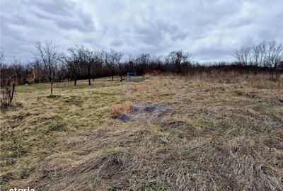 Spațiu comercial, în Todirel - 3