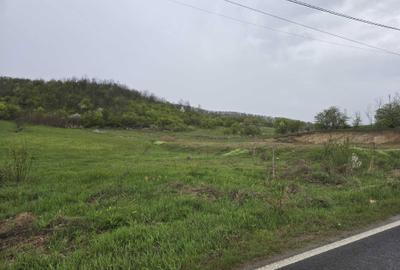 Spațiu comercial, în Conțești - 3