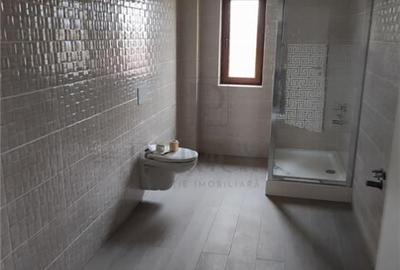 Duplex cu 4 camere cu Canalizare în Dumbrăvița - 2