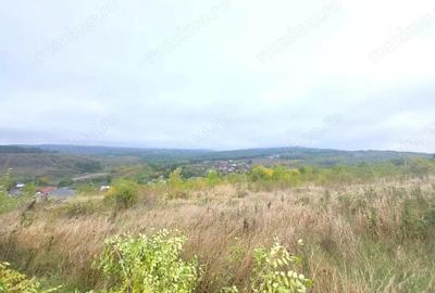 Teren de 774 mp, în Bârnova - 4