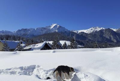 Spațiu comercial, în Forban - 8