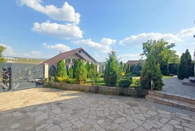 VILA CU 5 CAMERE, 150 MP UTILI, BECI, GARAJ, 717 MP TEREN, VISAN-BUCIUM - 18