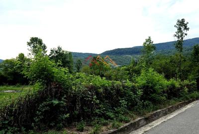 Teren Construcții intravilan de 2600 mp, în Drăgăneasa - 4